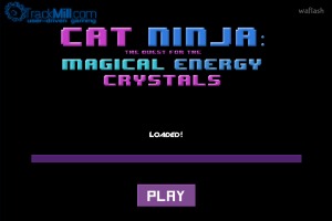 Cat-Ninja
